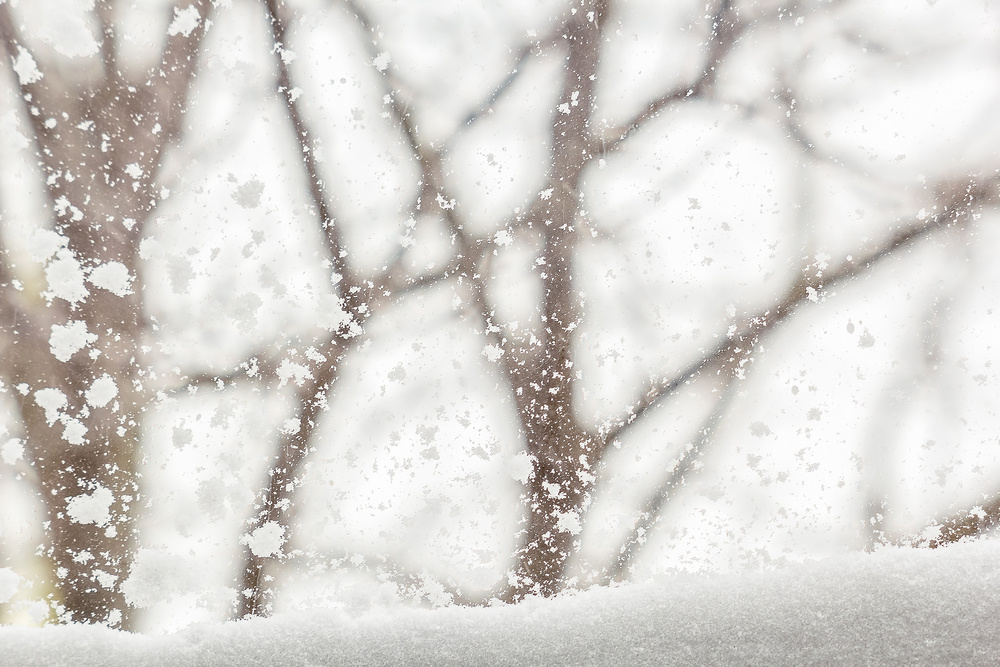    Рыхлый снег