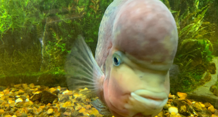    Фото из архива нашей редакции