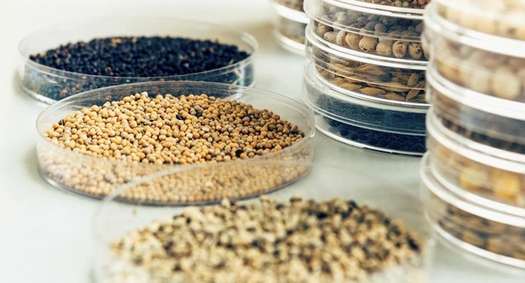    Фото: ФГБУ ЦОК АПК