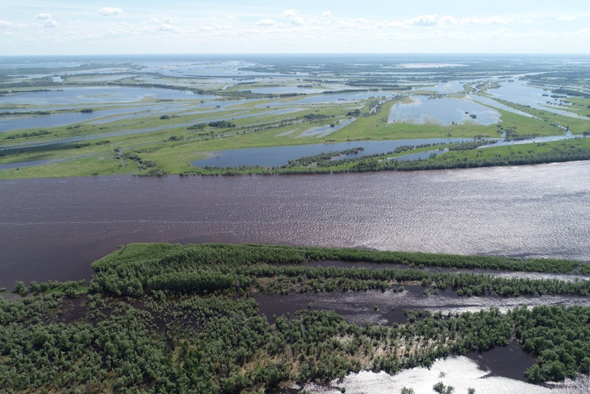    В МГУ создали крупнейшую базу данных по динамике берегов рек Северной Евразии.