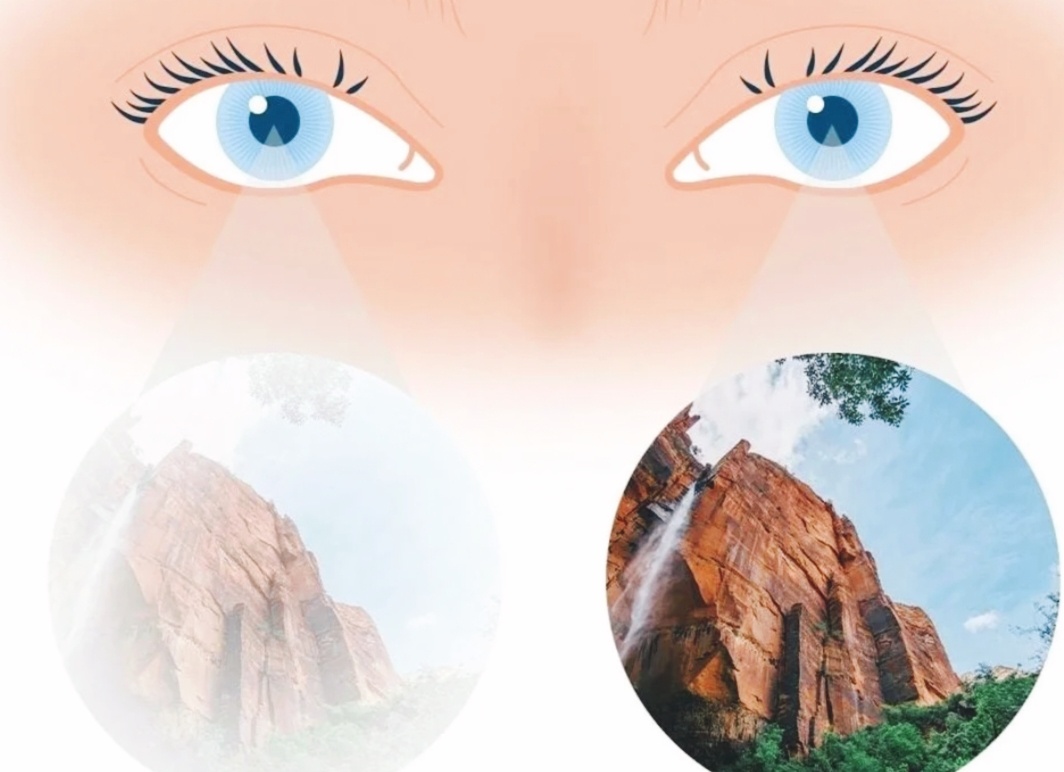 Изображение из Яндекс картинки 