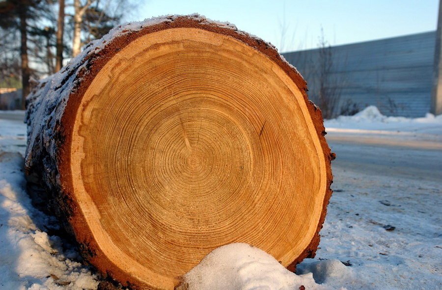 Яндекс Картинки