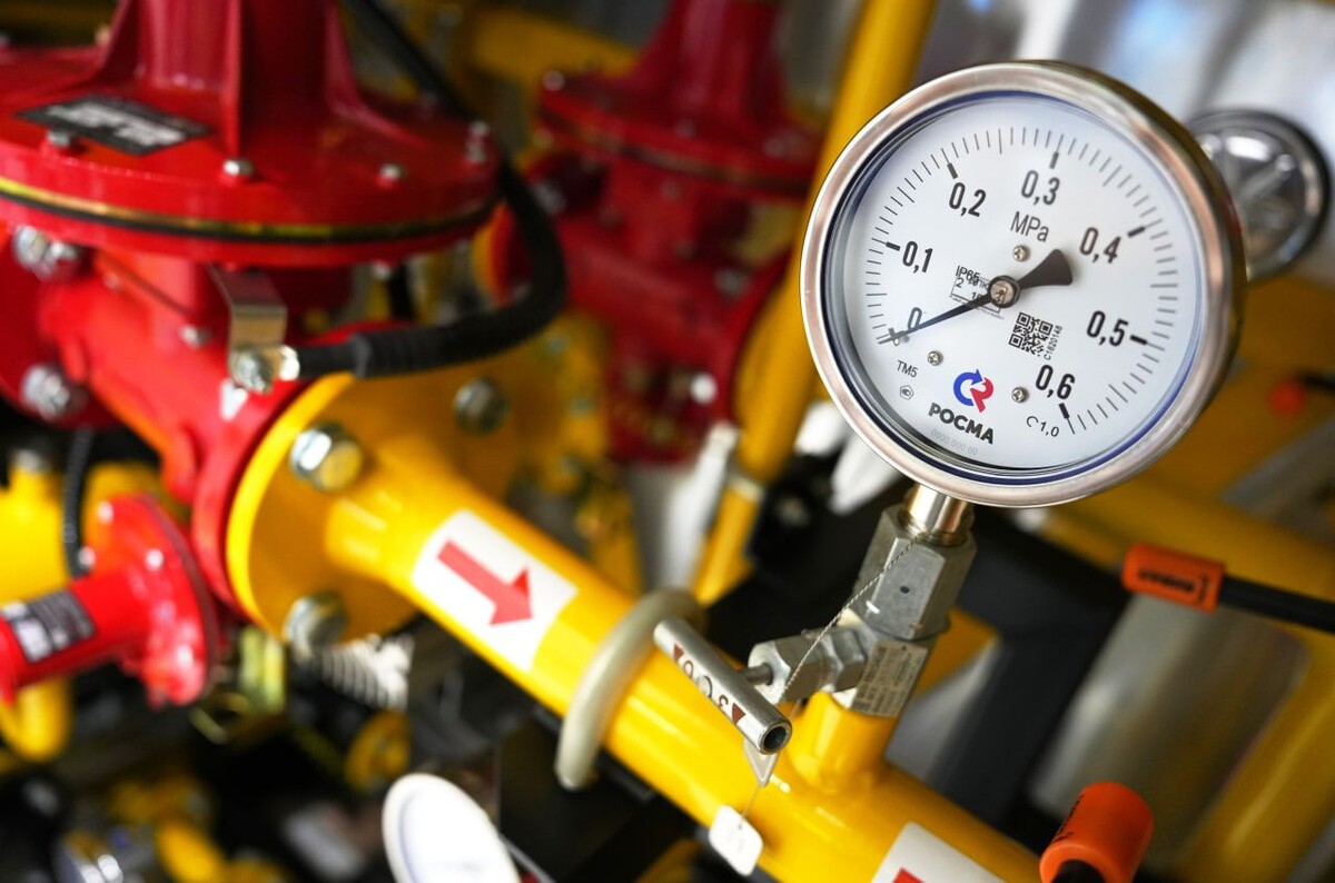     / Источник: © ИЗВЕСТИЯ/Дмитрий Коротаев