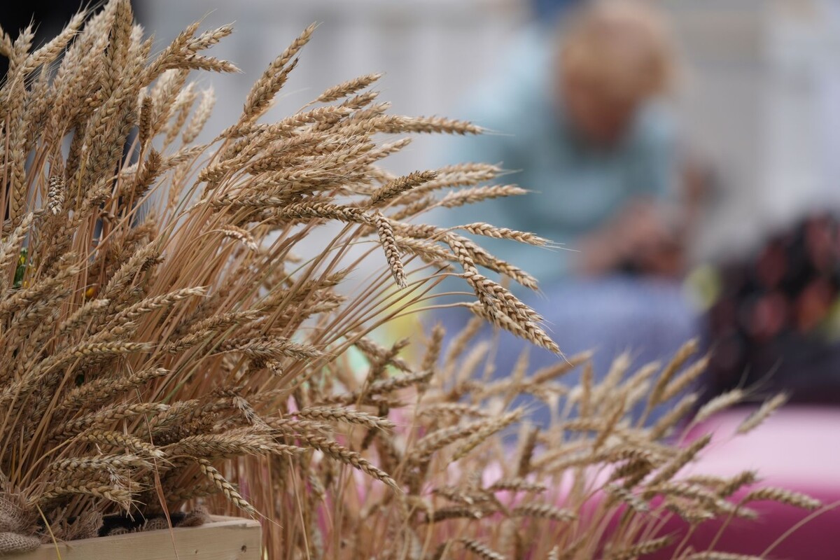     / Источник: © ИЗВЕСТИЯ/Эдуард Корниенко