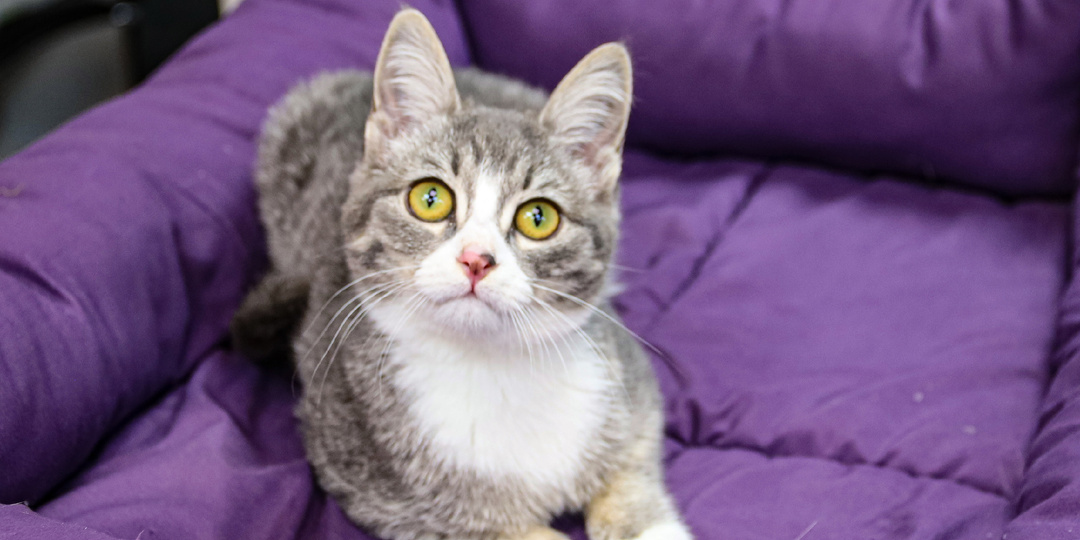 Прошла через ад болезней, чтобы стать чьим-то счастьем!