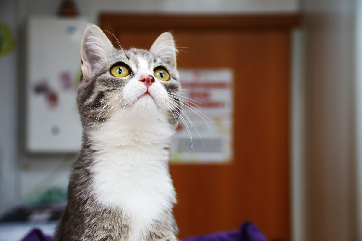 Дуня заслуживает самого мягкого дивана и самых добрых рук