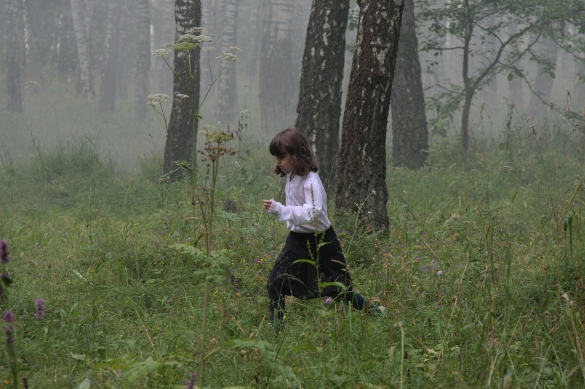 (источник: kinopoisk.ru)