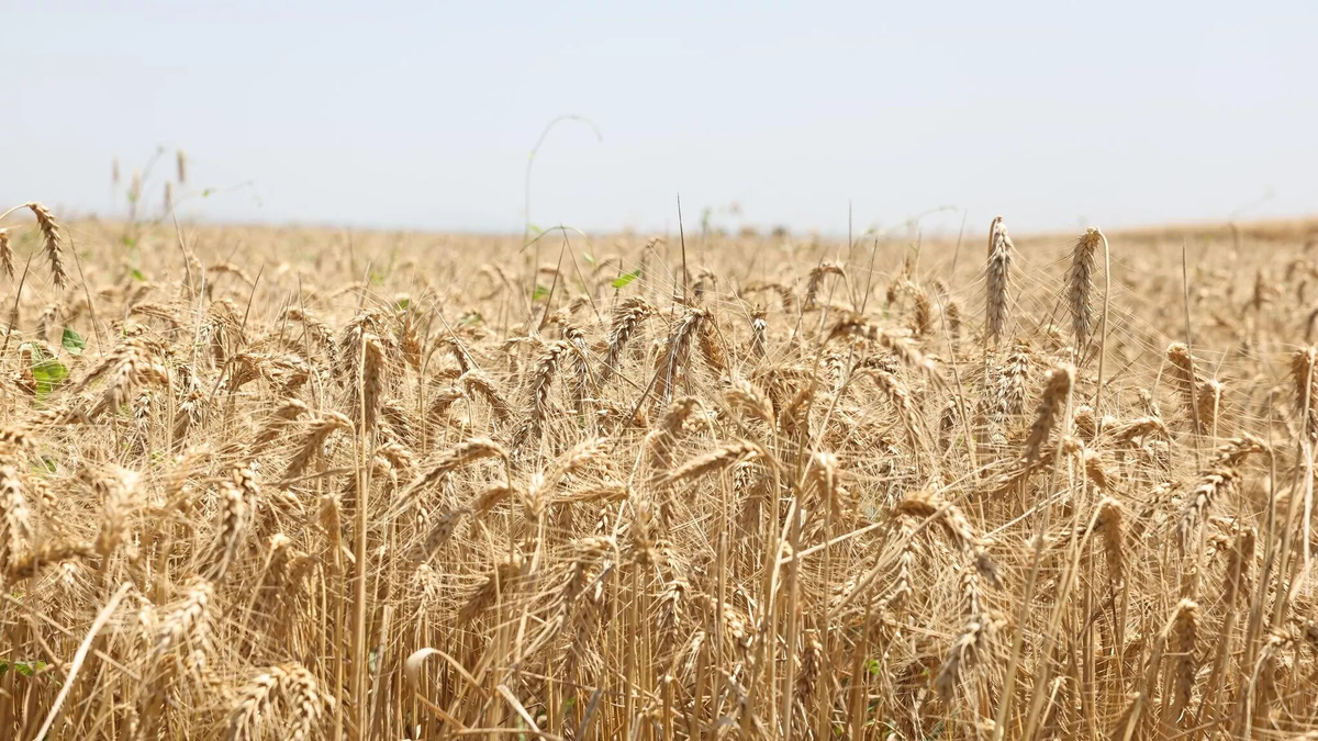 © Ministry of Environmental Protection and Agriculture