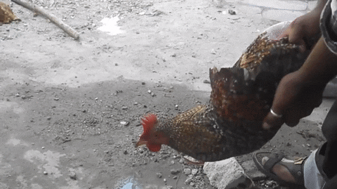 Встроенный гироскоп работает лучше любой камеры.