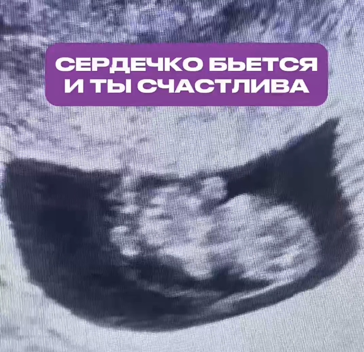 Доктор Венера Григорян 