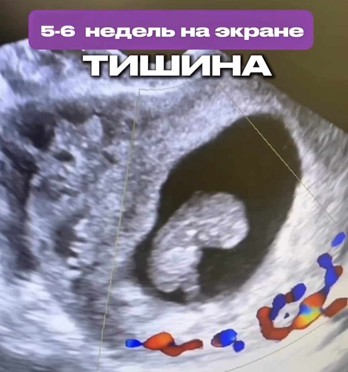 Доктор Венера Григорян 