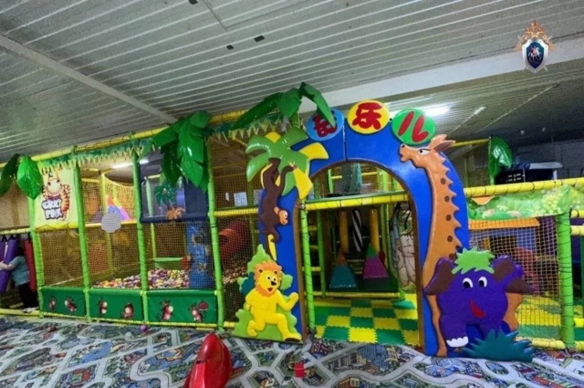    Предпринимателя судят после падения ребёнка в детском центре Омска