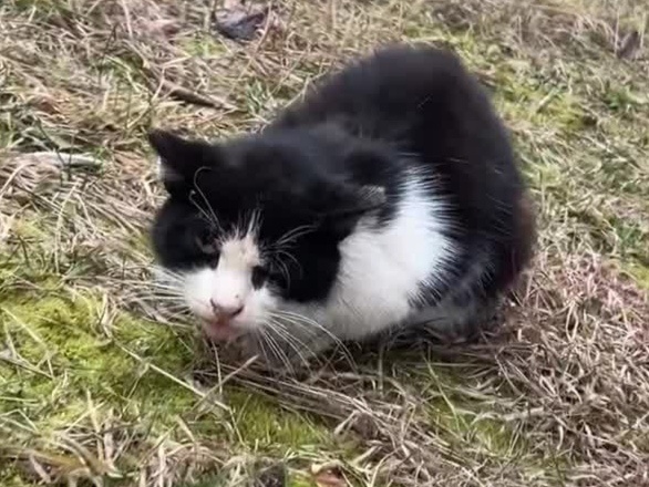 Женщины, которые 