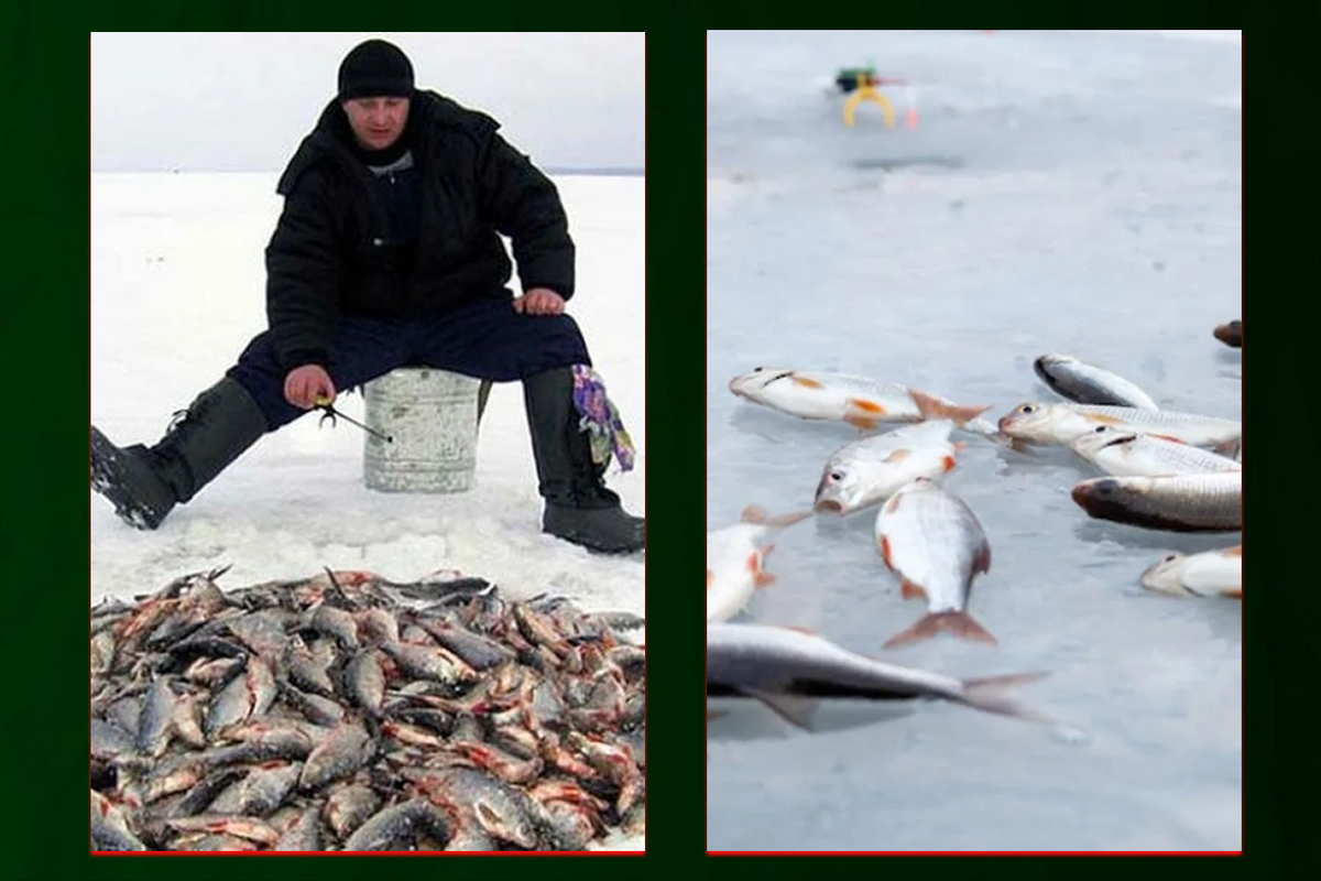 Серёга на Вонгозере: ожидание и реальность