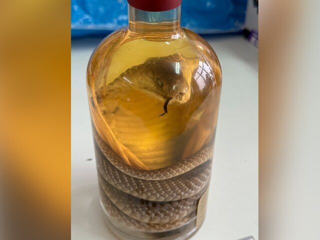    Фото: stu.customs.gov.ru