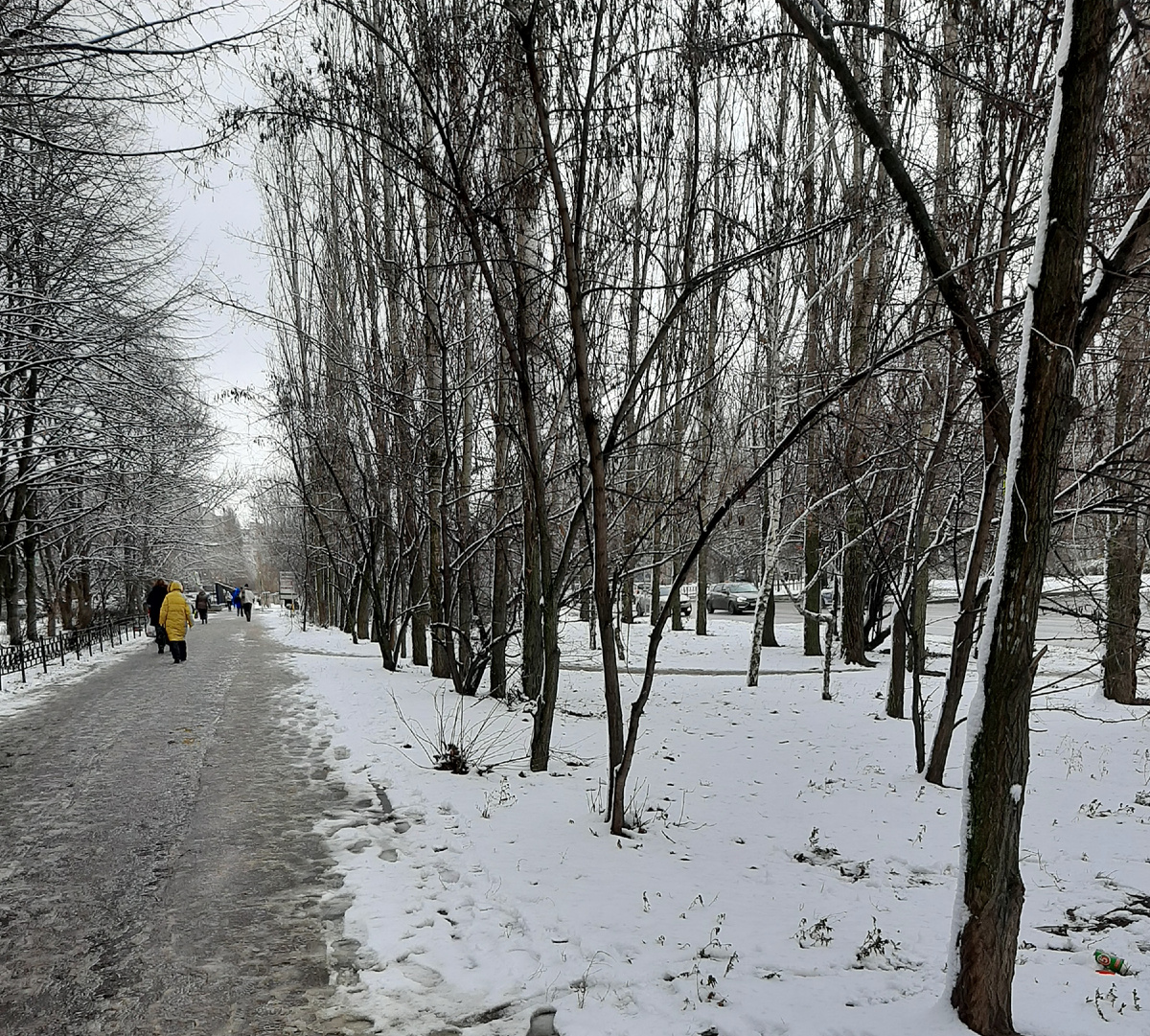 Вот такая зима к нам пришла сегодня