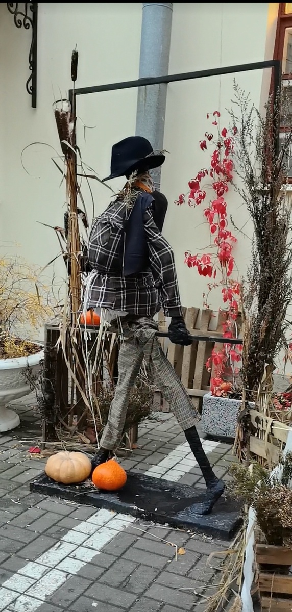 Казимир ( Литейный переулок, 55 Санкт- Петербург)