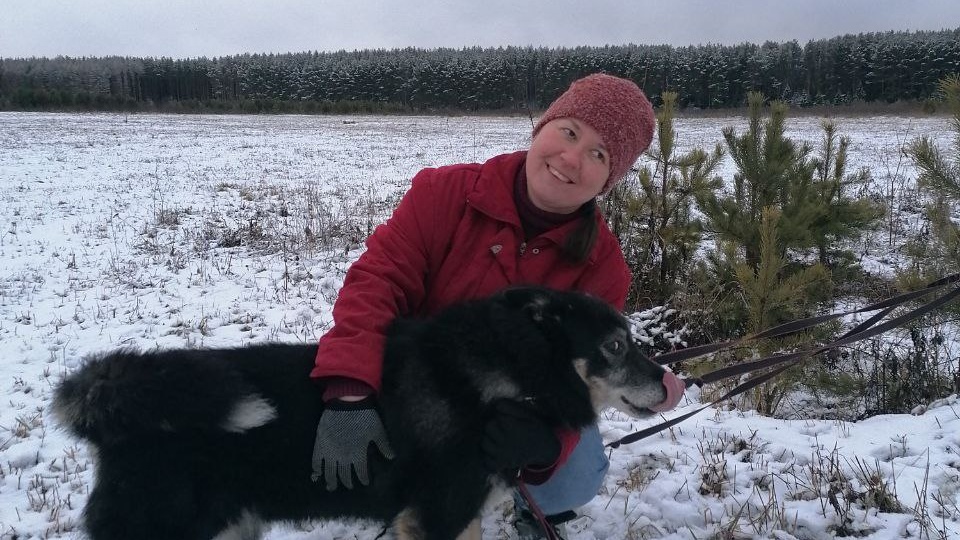 Когда поводок становится крыльями: один день из жизни приютских собак