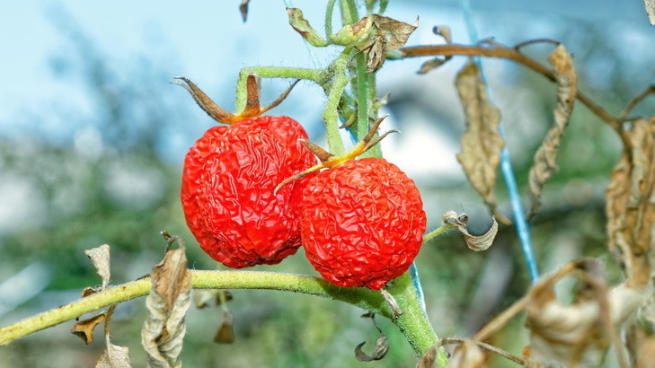 Вот она - разница между обещаниями и реальностью