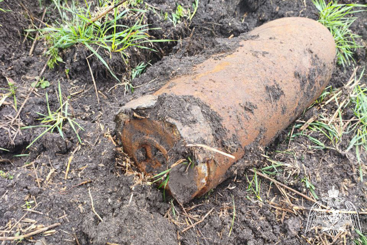    Фото: пресс-служба Росгвардии Краснодарского края