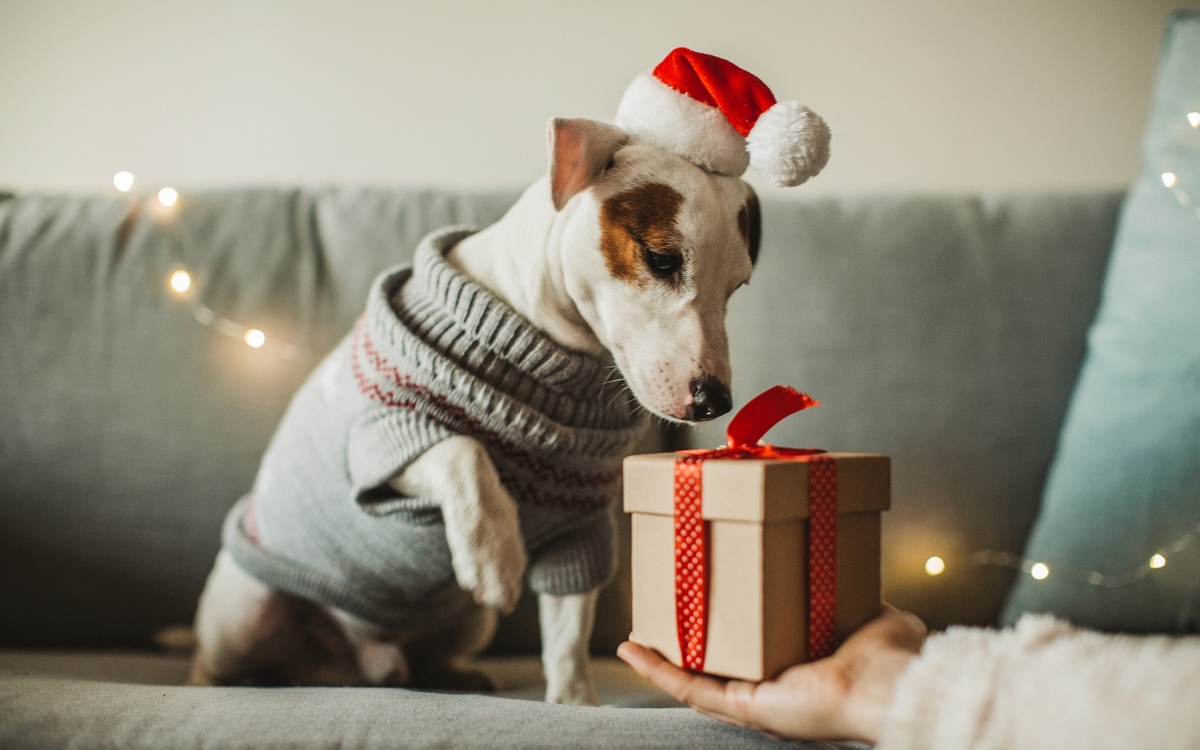 Фотография из интернета