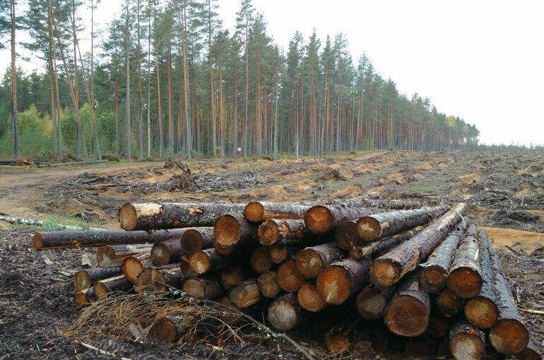   Игорь Самохвалов/«Парламентская газета»