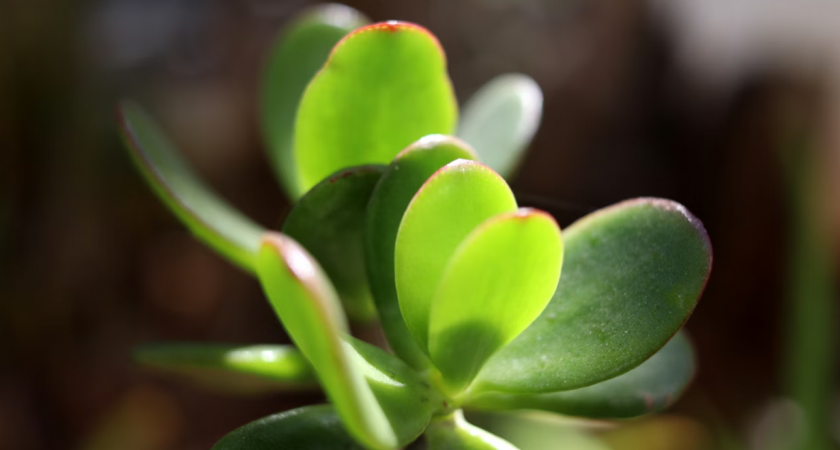    Фото с сайта unsplash.com