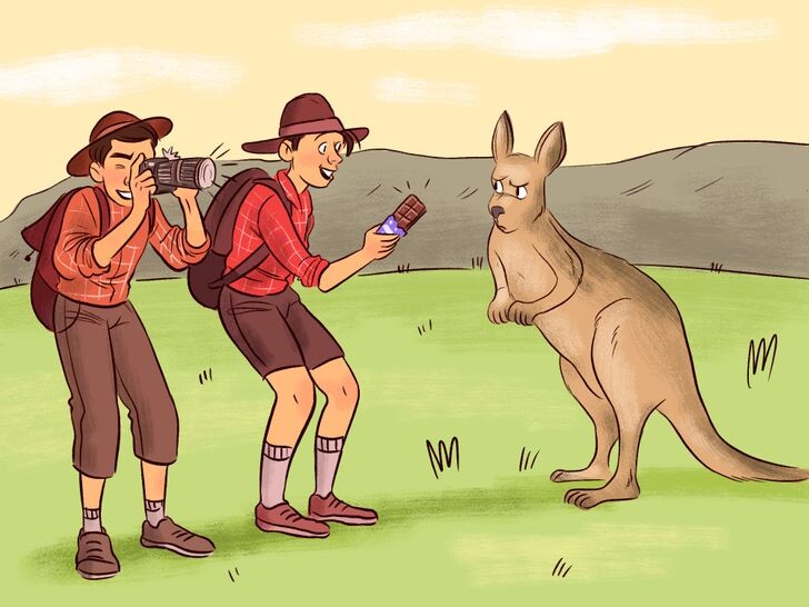 © Иллюстрация создана художниками ADME