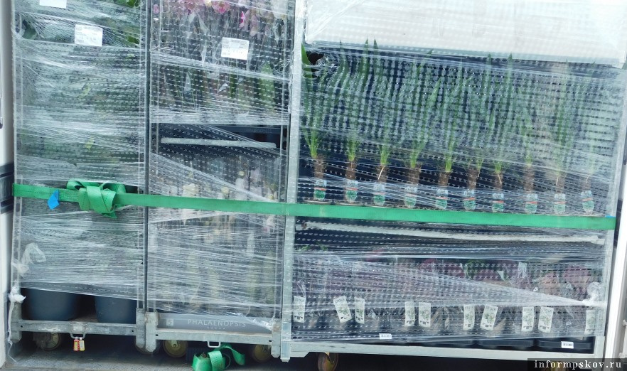 Фото: пресс-служба Северо-Западного межрегионального управления Россельхознадзора