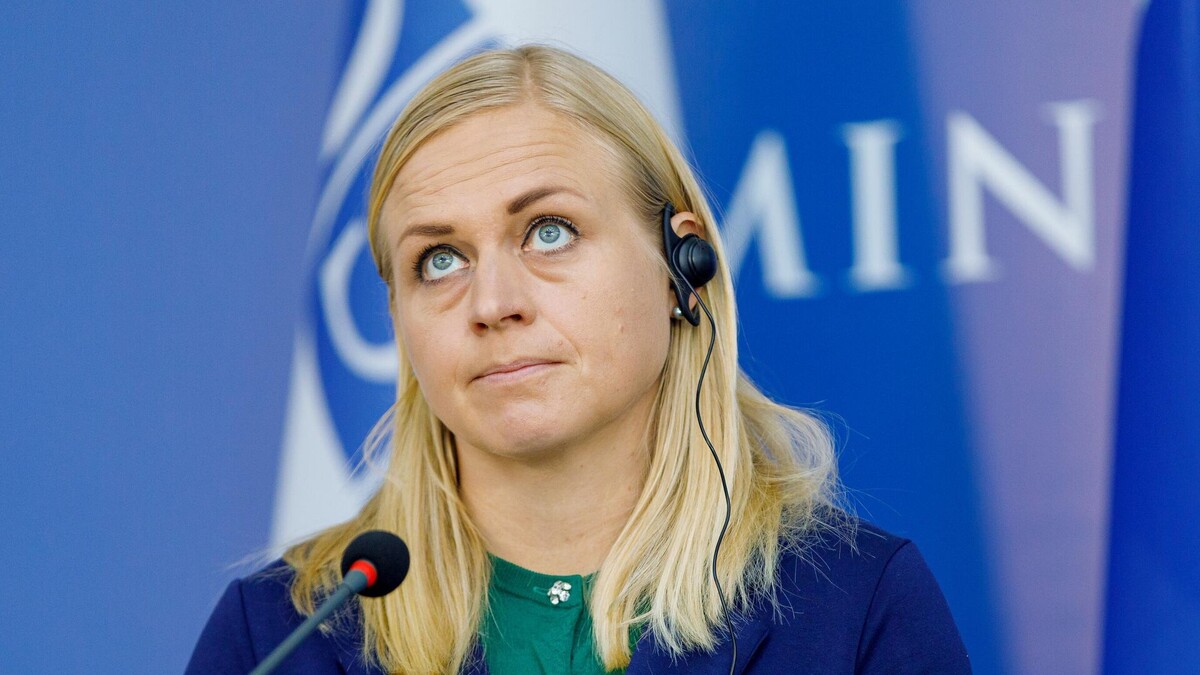 Глава МИД Финляндии Элина Валтонен / РИА Новости