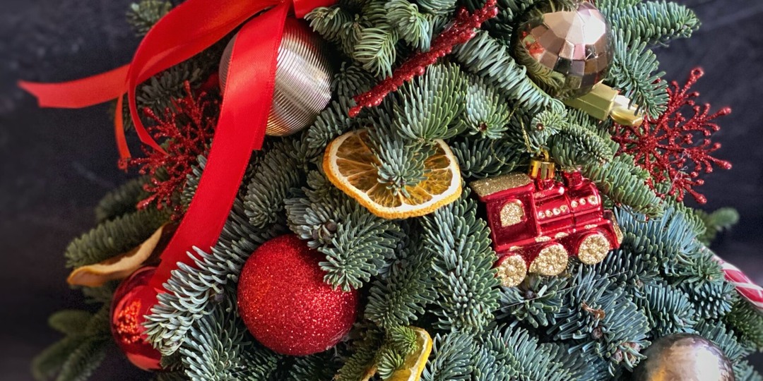 Маленькая ёлка лучше большой — рассказываем, почему?!