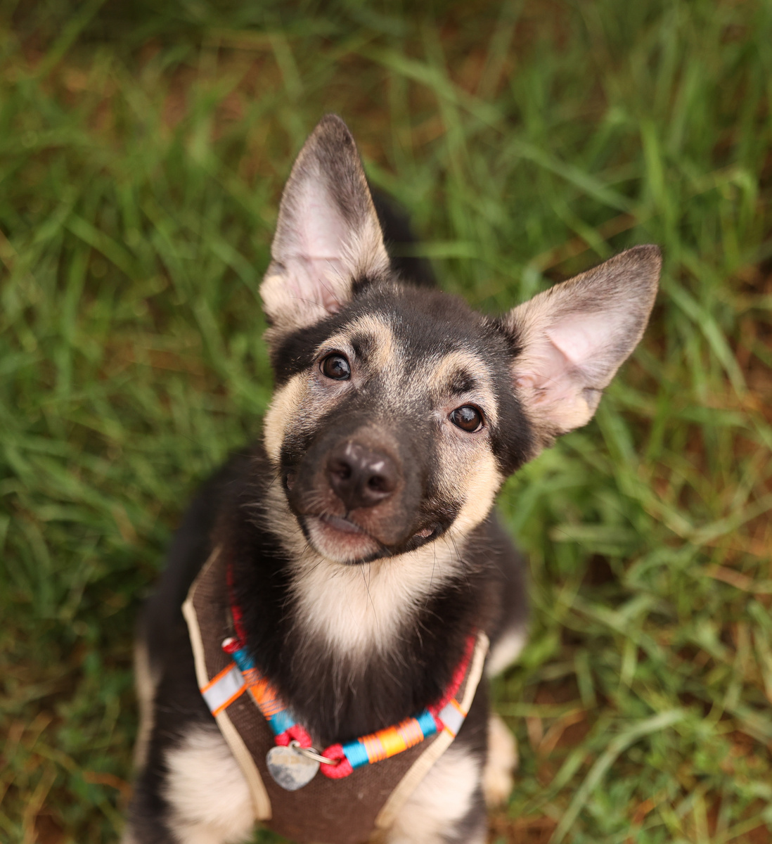 Сама от себя в шоке