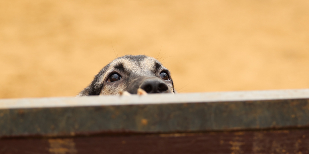 С фестиваля мы уехали без радостных вестей, а через 2 дня неожиданно позвонил этот человек