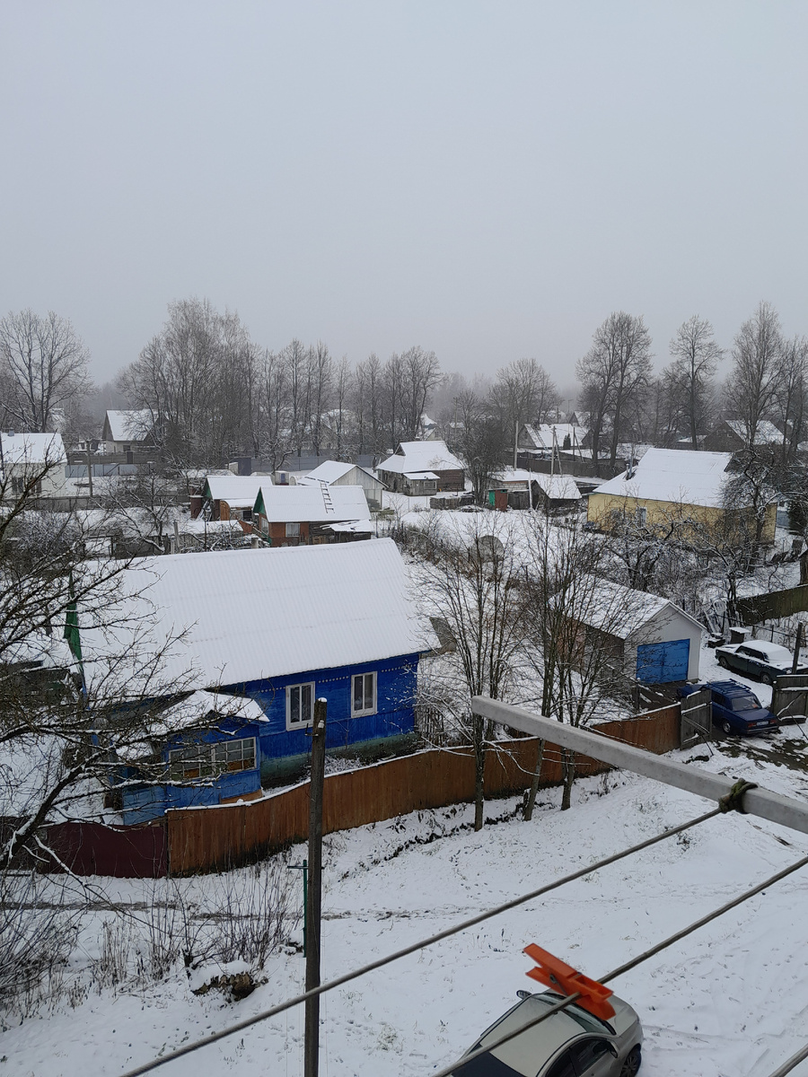 виды деревенские 