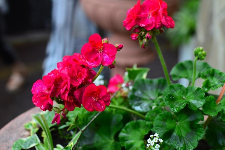 Источник фото: freepik.com