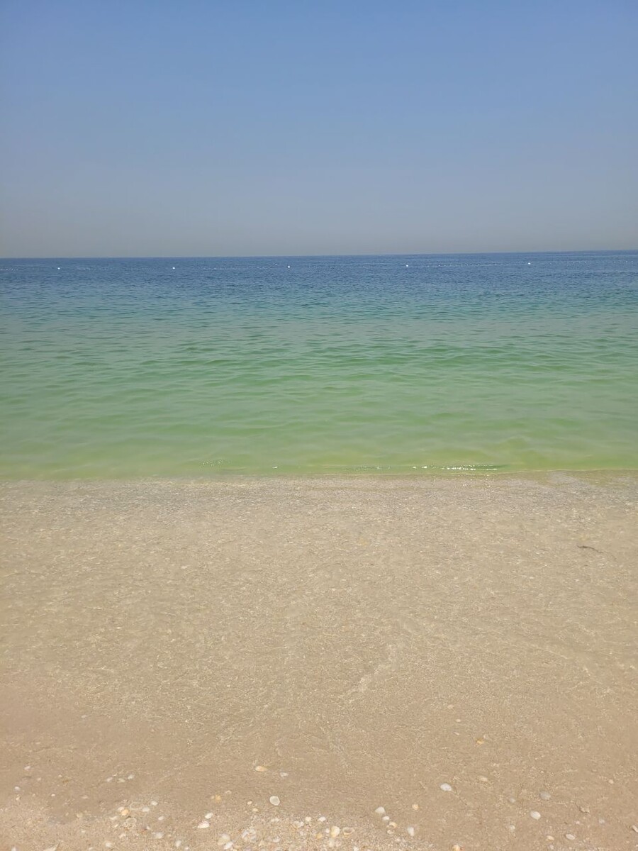 В Аджмане прекрасные пляжи