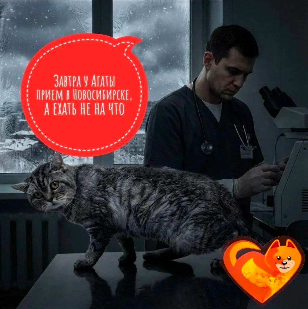 Выезд запланирован на 11 декабря 2025 года. Однако перед нами встала серьезная задача...