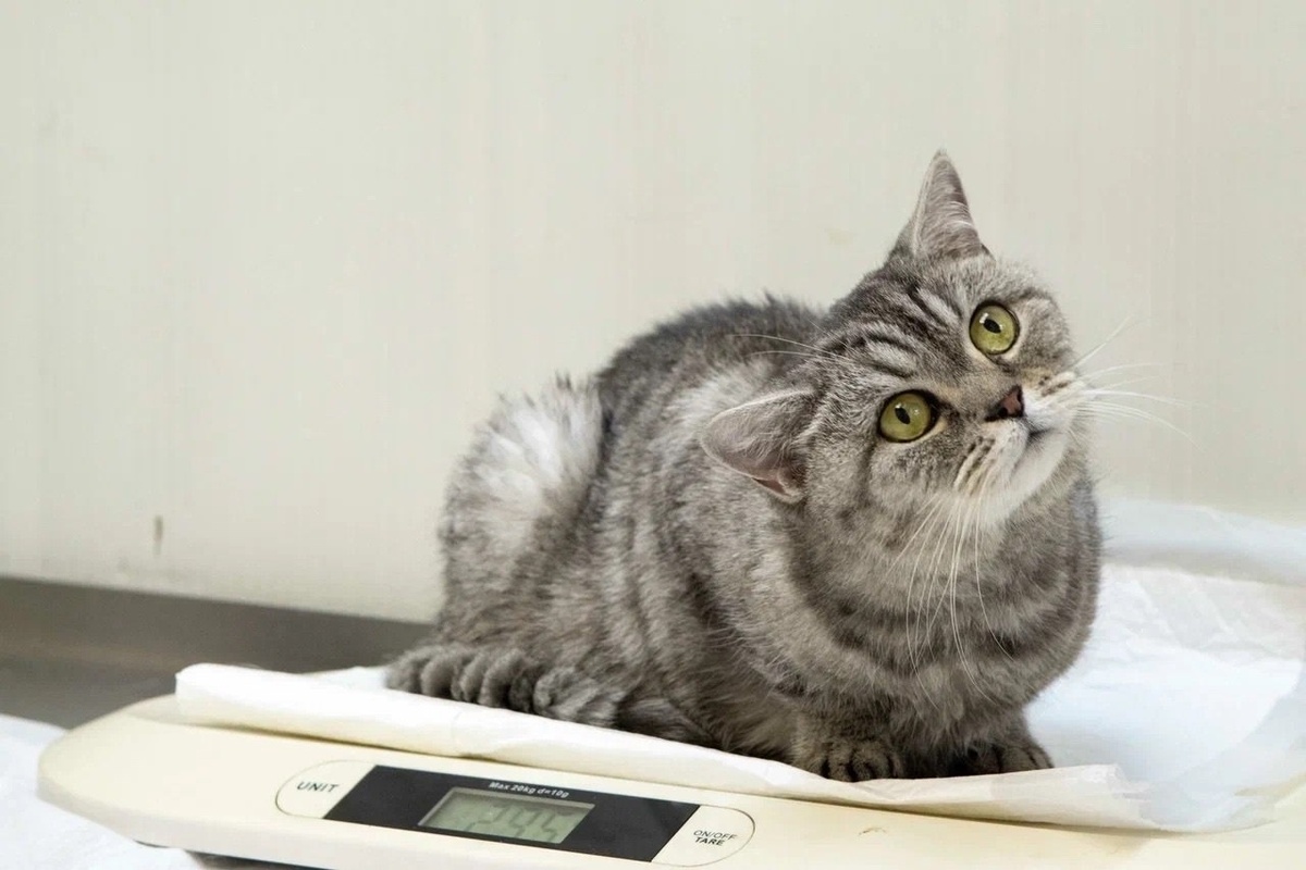 Без вашей помощи мы вовсе не справимся...