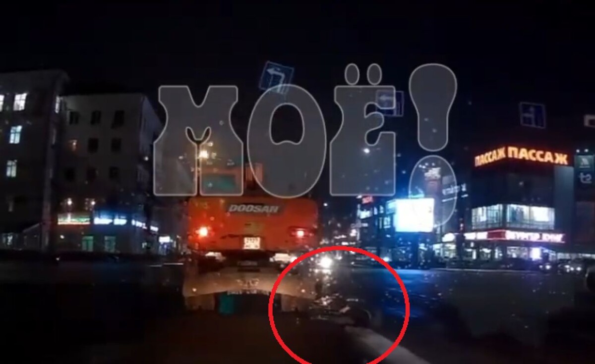    Фото: скриншот из видео