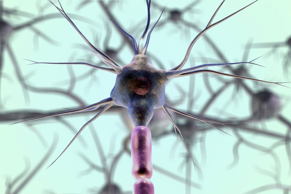     Фото: pixabay.com