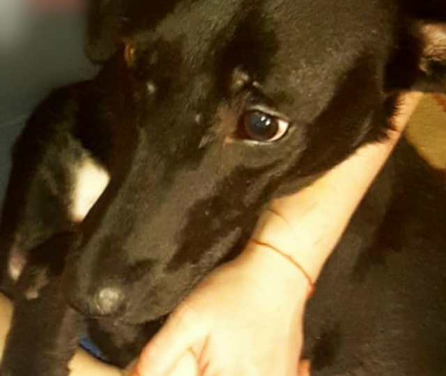 Друзья. Старая Русса! Помогите пожалуйста. Нам нужно срочно найти жилье. У нас ситуация реально патовая.