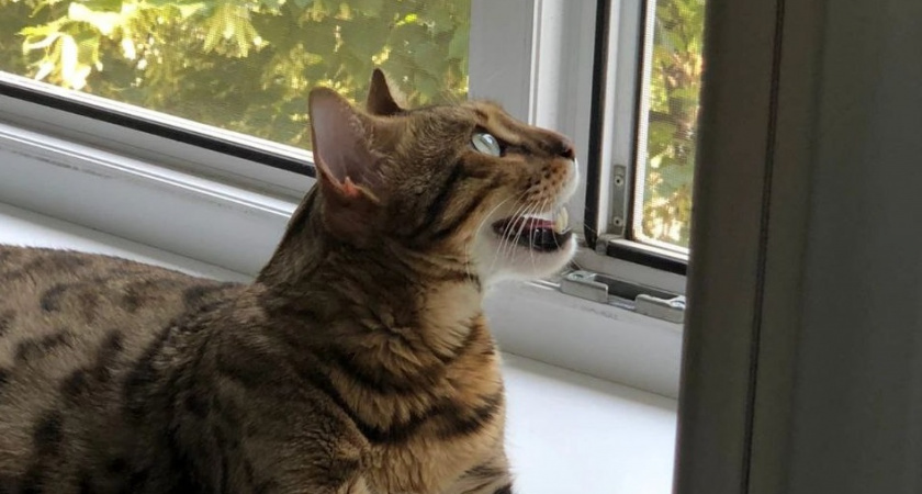    Фото Анастасии Дмитриевой