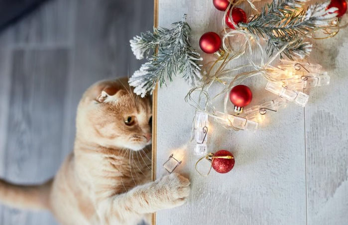     Фото: freepik.com