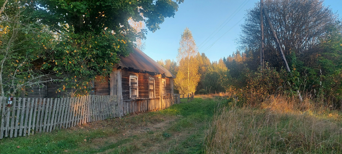 фото автора. заколоченные дома...