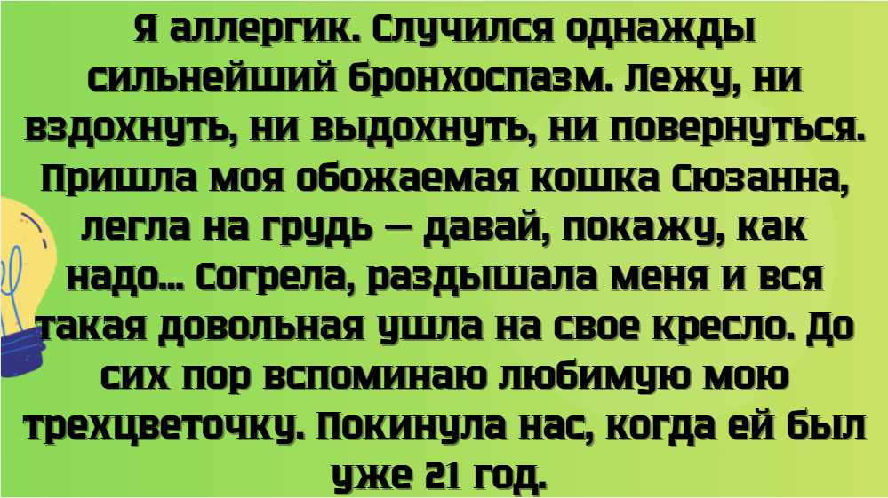 © Марина К. / Dzen