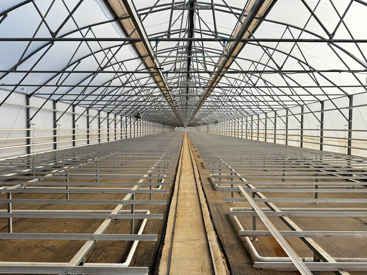 Теплицы для бизнеса