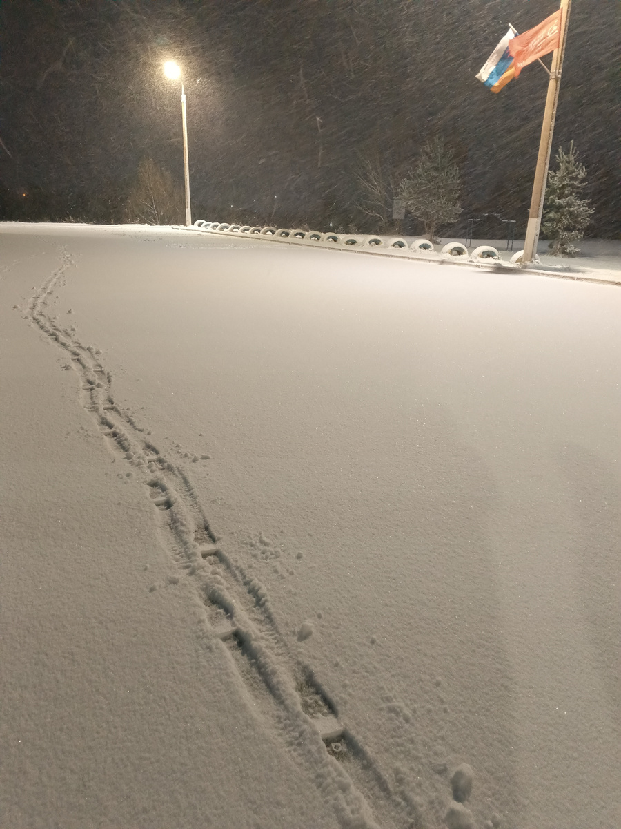 Фото автора