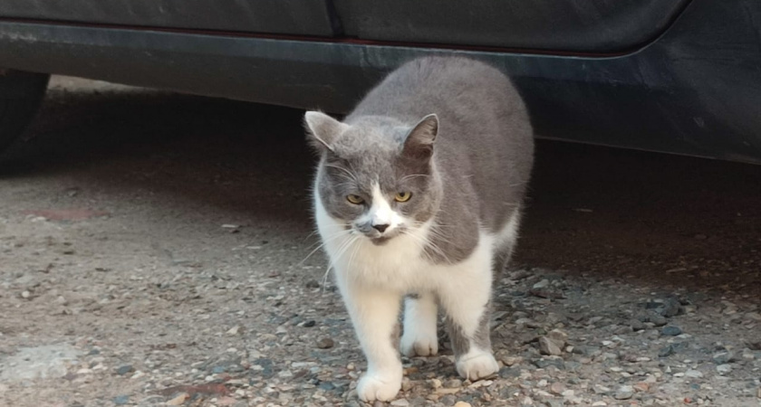    Фото irkutsk.news