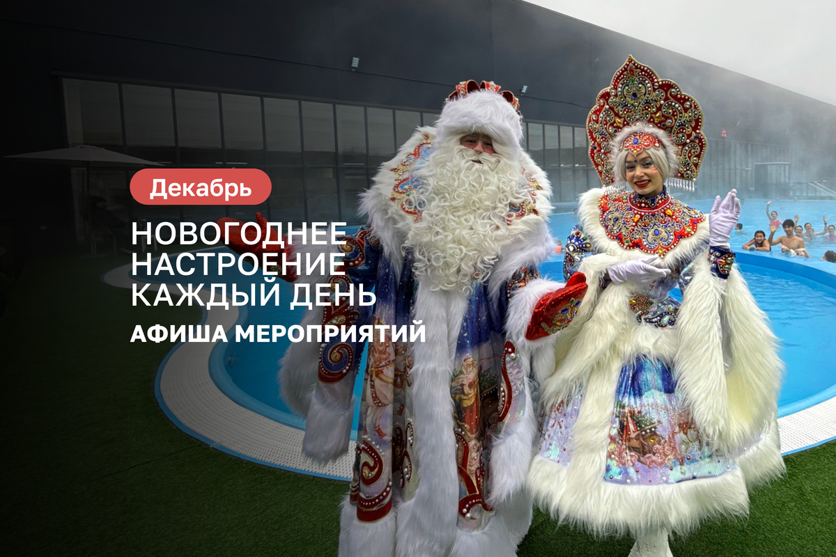 Новый год 2026 в Termoland