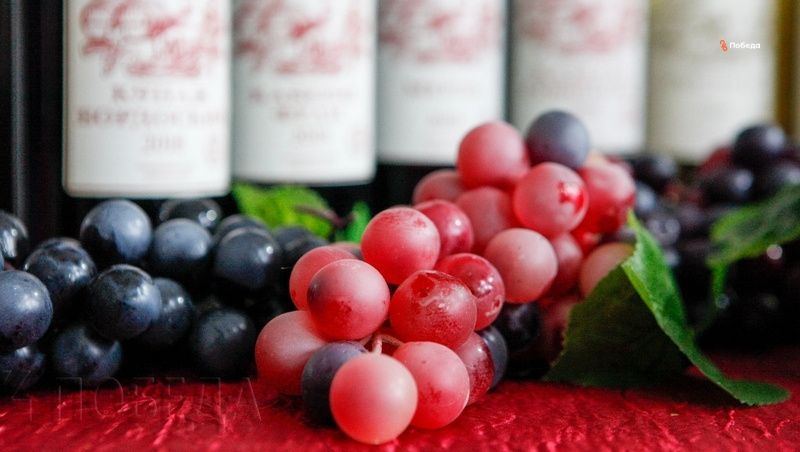      Фото: ИА «Победа26»